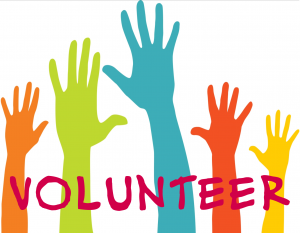 Volunteer Administrator Needed