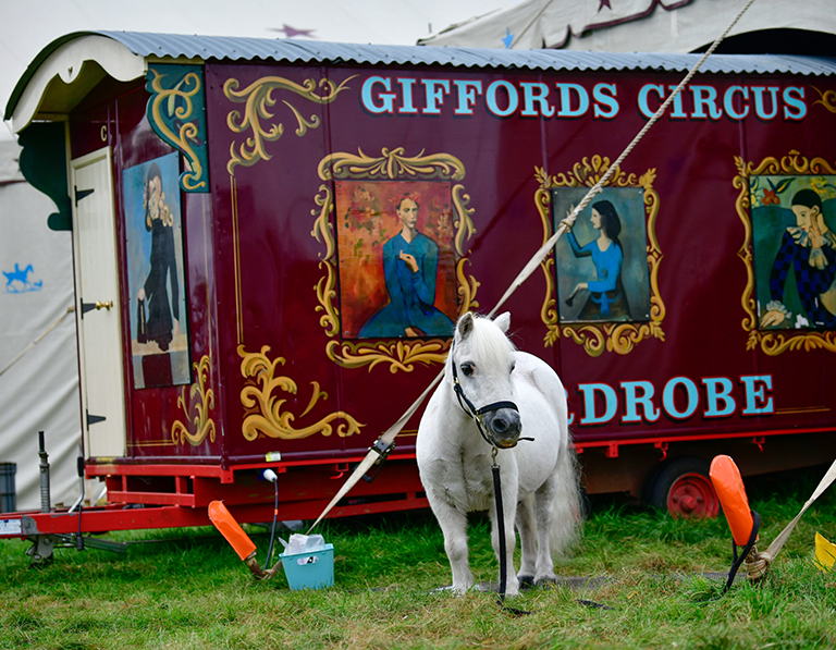 Giffords Circus 2024