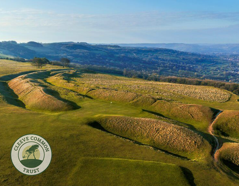 Cleeve Common