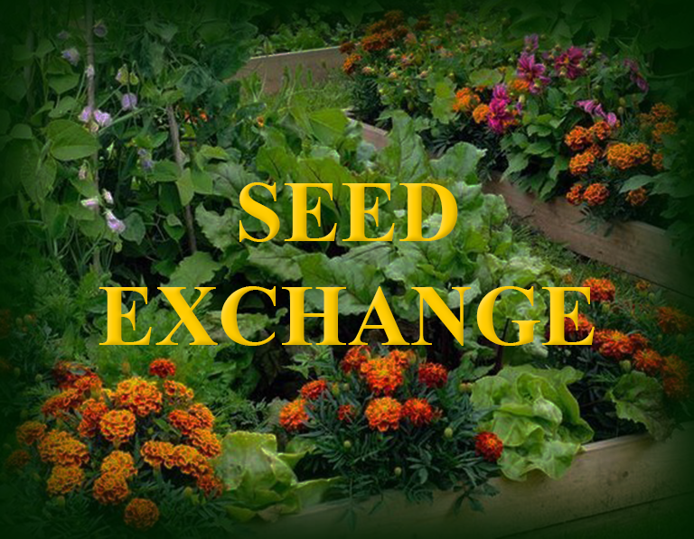 Winchcombe seed exchange