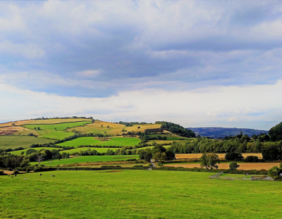 Pardon Hill Farm