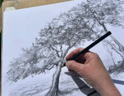Cleeve Common - Introduction to Drawing Trees with Charcoal