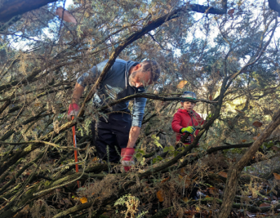 Cleeve Common - Ranger for the Day